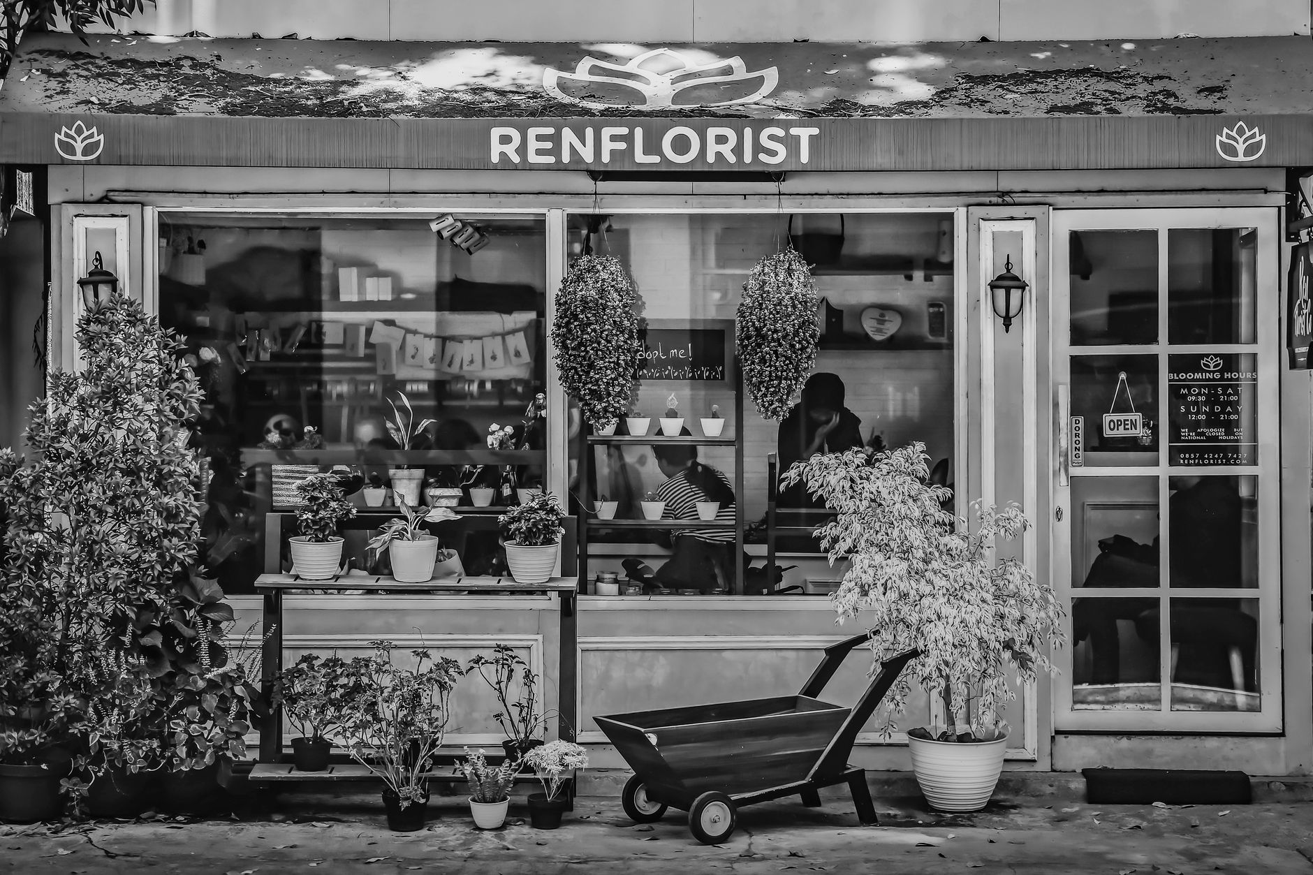 Fleuriste à Draguignan